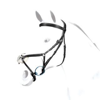 Equipe bridle, black leather, classic style, isolated on white background.