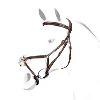 Equipe bridle, brown leather, silver buckles, isolated on white background.