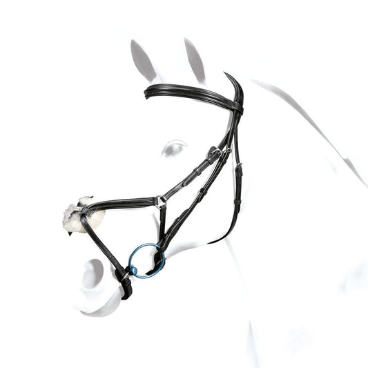 Equipe bridle, black leather, stylish design, horse head visible, isolated on white.