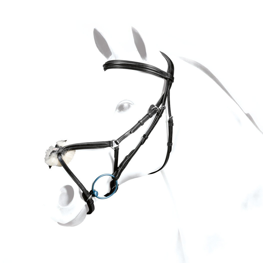 Equipe bridle, black leather, modern style, on a white horse mannequin.
