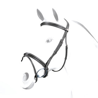 Black Equipe bridle, traditional style, leather, isolated on white background.
