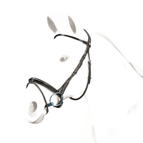 Black Equipe bridle on white horse model, classic style.