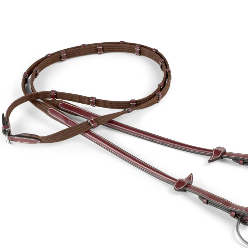 Alt text: Equipe bridle, brown leather, elegant style, isolated on white background.