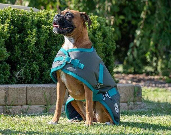 Eurohunter Ironbark Dog Rug