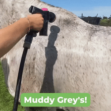 The Ponyjet 3.0 - Ultimate In Equine Grooming-The Equestrian-The Equestrian