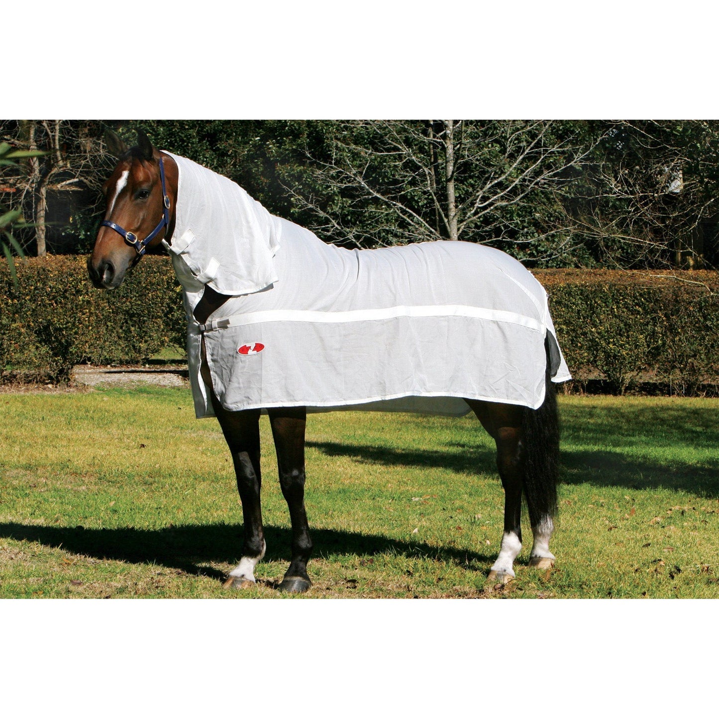 Flag Combo-Trailrace Equestrian Outfitters-The Equestrian