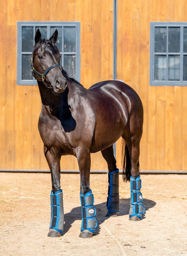 Eurohunter Travel Boots