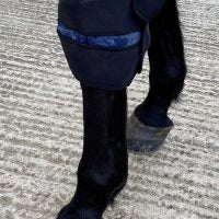 Cryochaps Absolute Ice Wrap Pair Pastern/Hocks/Knees