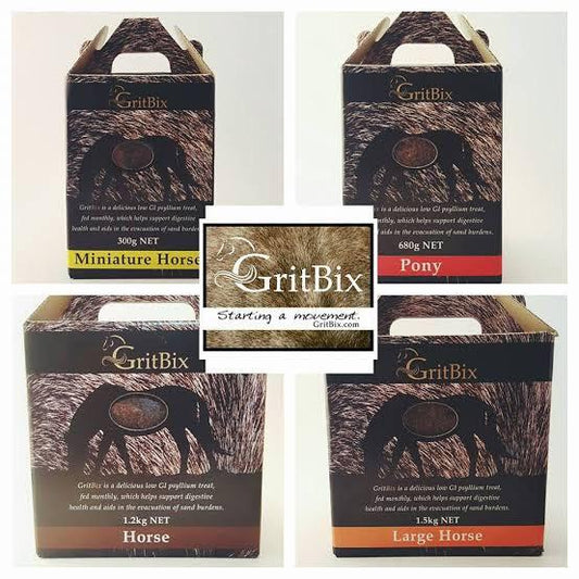 GritBix-Southern Sport Horses-The Equestrian