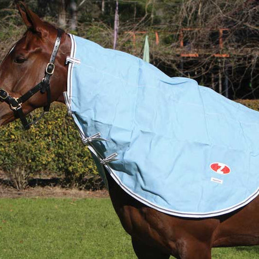 A horse wearing a light blue WeatherBeeta horse show rug outdoors.