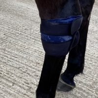 Cryochaps Absolute Ice Wrap Pair Pastern/Hocks/Knees