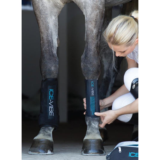 Horseware ICE-VIBE Tendon Boots-Southern Sport Horses-The Equestrian