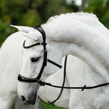 Skyla Bitless Bridle (No reins)