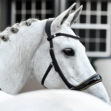 Skyla Bitless Bridle (No reins)