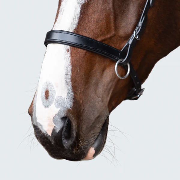 Seline Bitless Bridle (No reins)