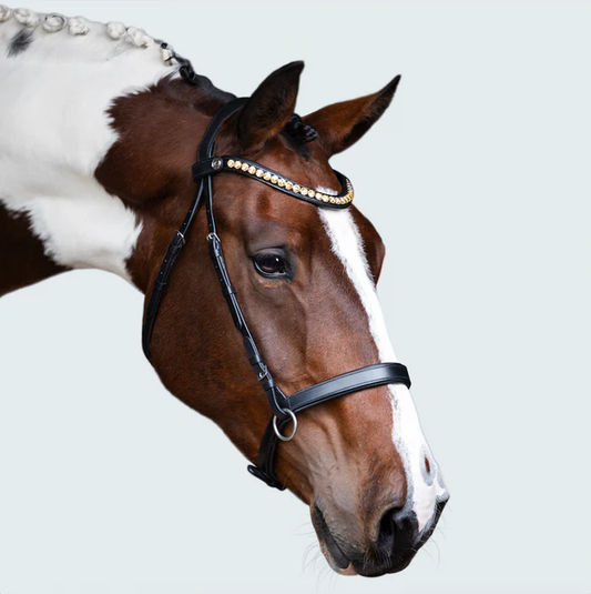 Seline Bitless Bridle (No reins)
