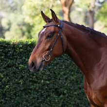 Sienna Nosebandless Bridle (No reins)