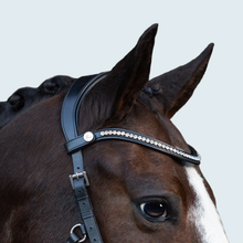 Symphony Bitless Bridle (No reins)