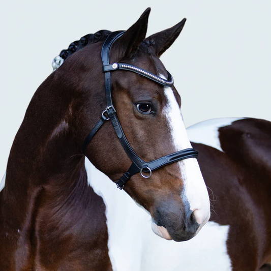 Santiago Bitless Bridle (No reins)