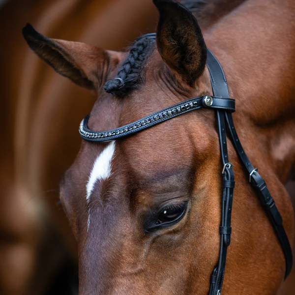 Sienna Nosebandless Bridle (No reins)
