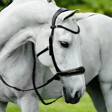 Skyla Bitless Bridle (No reins)