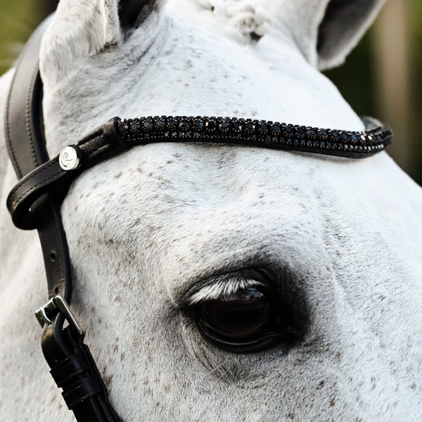 Skyla Bitless Bridle (No reins)