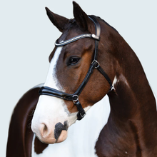 Symphony Bitless Bridle (No reins)