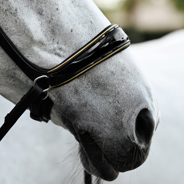 Skyla Bitless Bridle (No reins)
