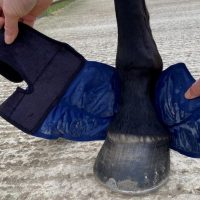 Cryochaps Absolute Ice Wrap Pair Pastern/Hocks/Knees