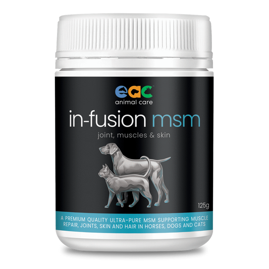 A jar of "EAC Animal Care In-Fusion MSM" supplement for muscle, joint, and skin health in horses, dogs, and cats, with a graphic of a horse, dog, and cat on the label.