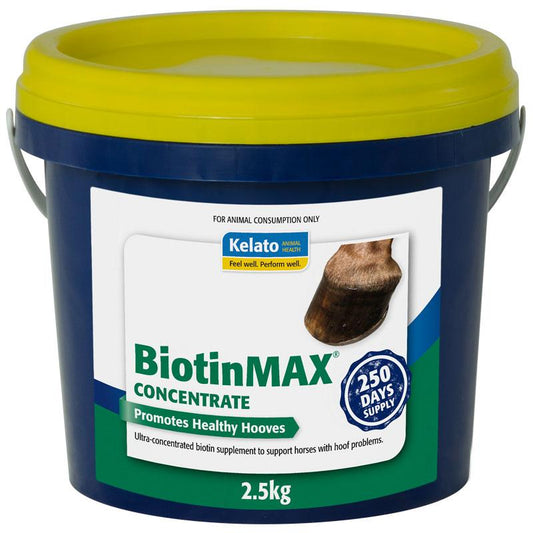 Kelato Biotin Max Concentrate-Southern Sport Horses-The Equestrian