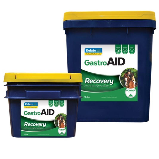 Kelato GastroAID Recovery-Southern Sport Horses-The Equestrian