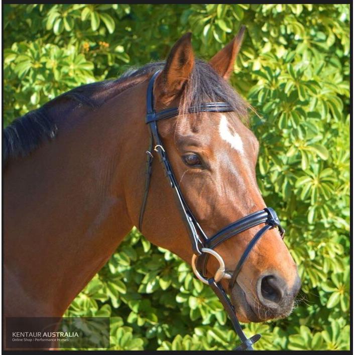 Kentaur 'Classic' Bridle with Rubber Reins-Southern Sport Horses-The Equestrian