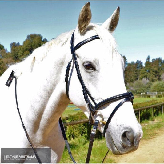 Kentaur Hanoverian Bridle with Decorative Browband and Removable Flash-Southern Sport Horses-The Equestrian