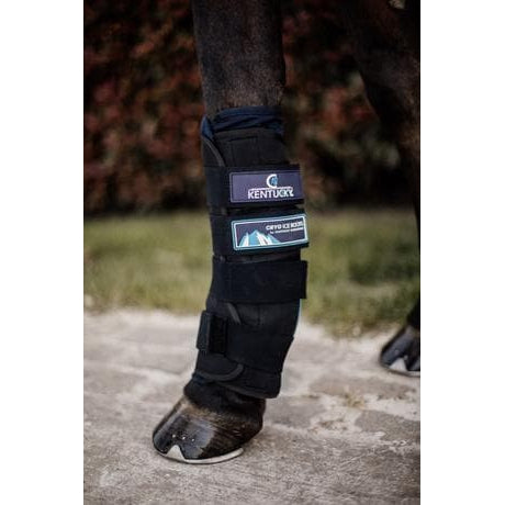 Kentucky Cryo Ice Boots-Dapple EQ-The Equestrian