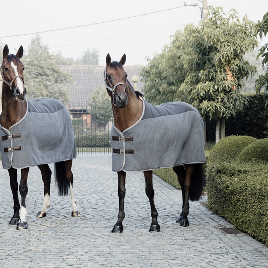 Two horses wearing Kentucky brand grey horse rugs outside.