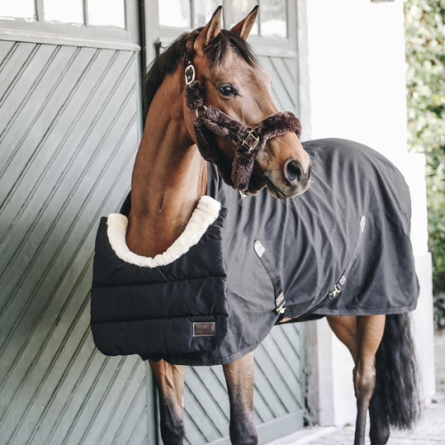 Kentucky Horsewear Horse Bib Winter-Trailrace Equestrian Outfitters-The Equestrian