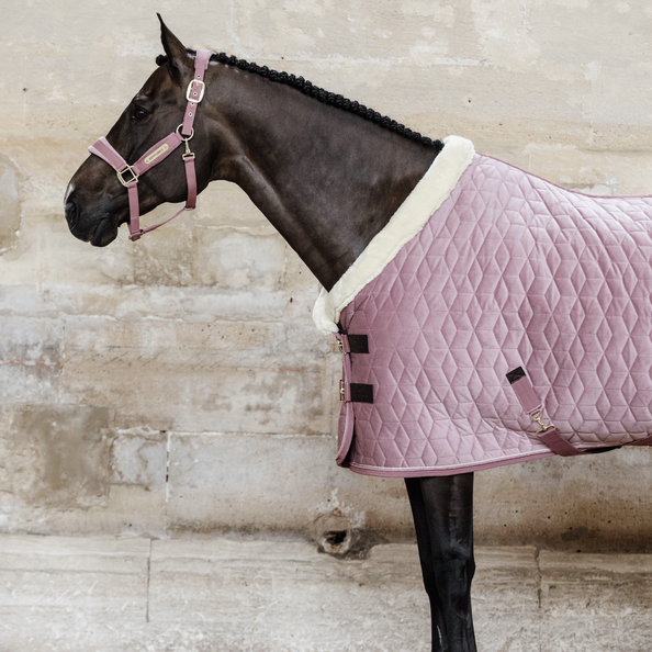 Horse wearing Kentucky brand quilted horse rug against worn wall.