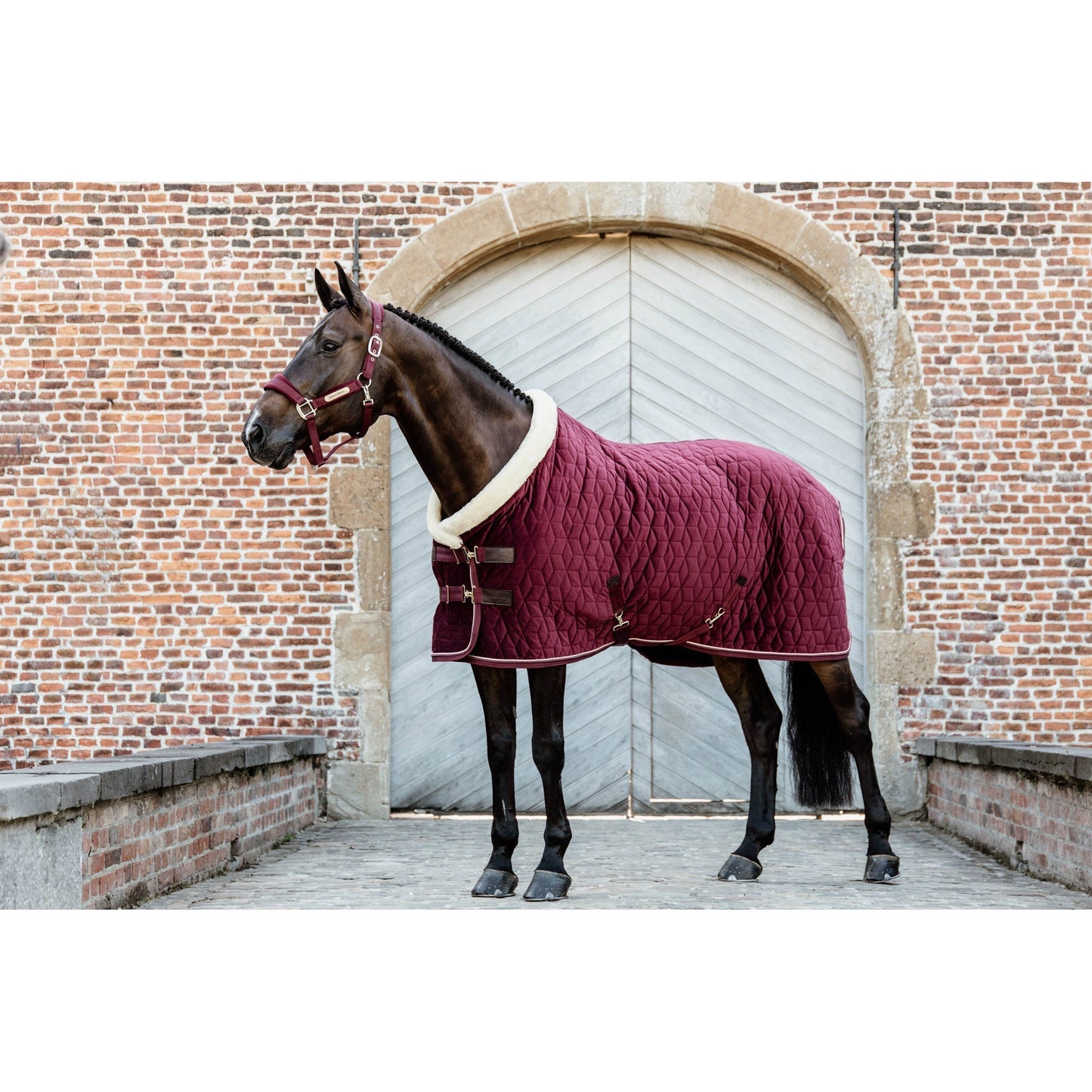 Horse in Kentucky quilted rug, standing before brick wall archway.