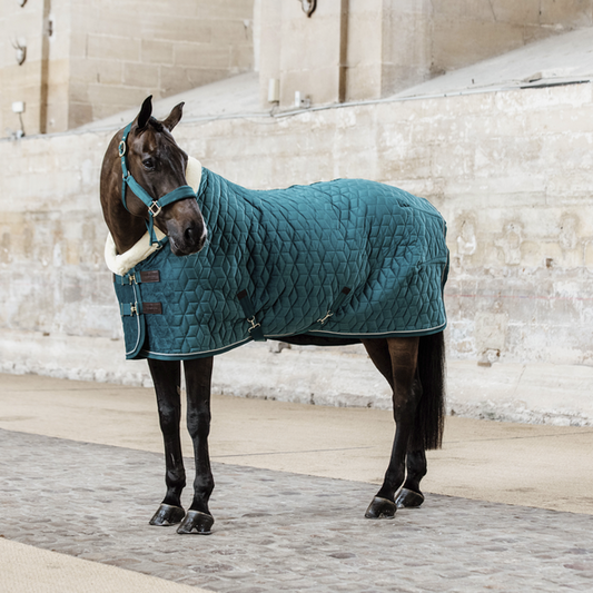 Horse wearing a teal Kentucky brand quilted horse rug.