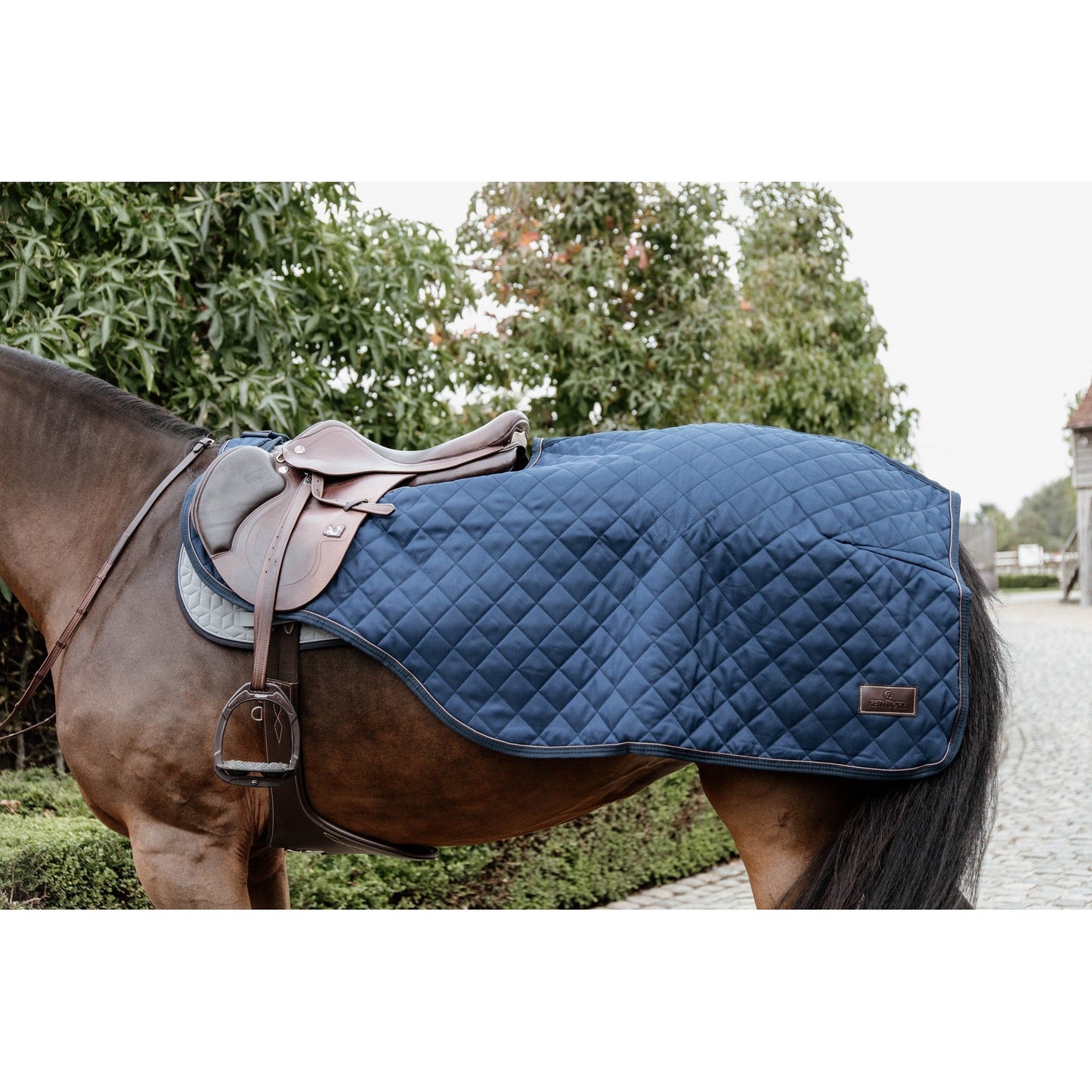 Horse with Kentucky brand blue quilted rug and saddle.