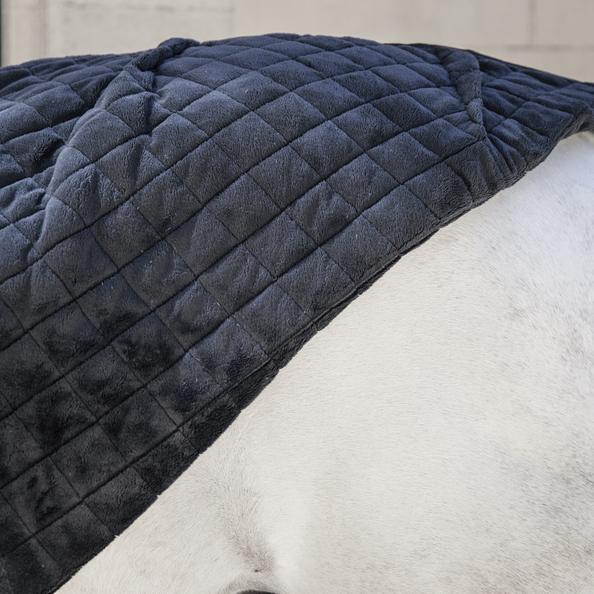 Black Kentucky quilted horse rug on a white horse's back.