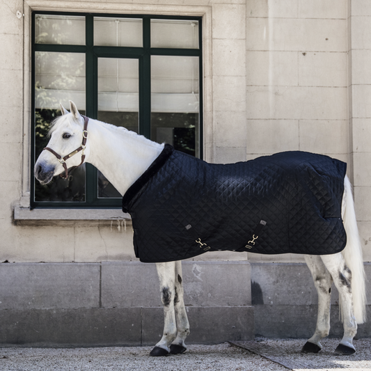 White horse wearing a black Kentucky branded quilted horse rug.