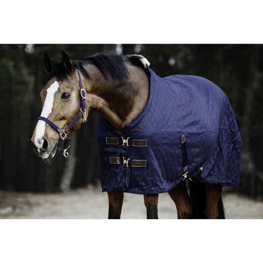 A horse in a blue Kentucky brand quilted horse rug.
