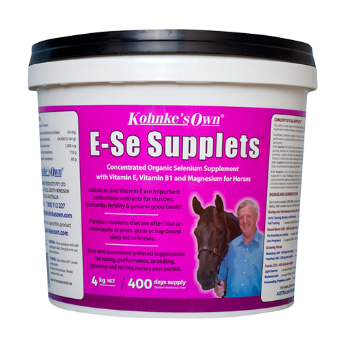 Kohnke’s Own E-Se Supplets-Southern Sport Horses-The Equestrian