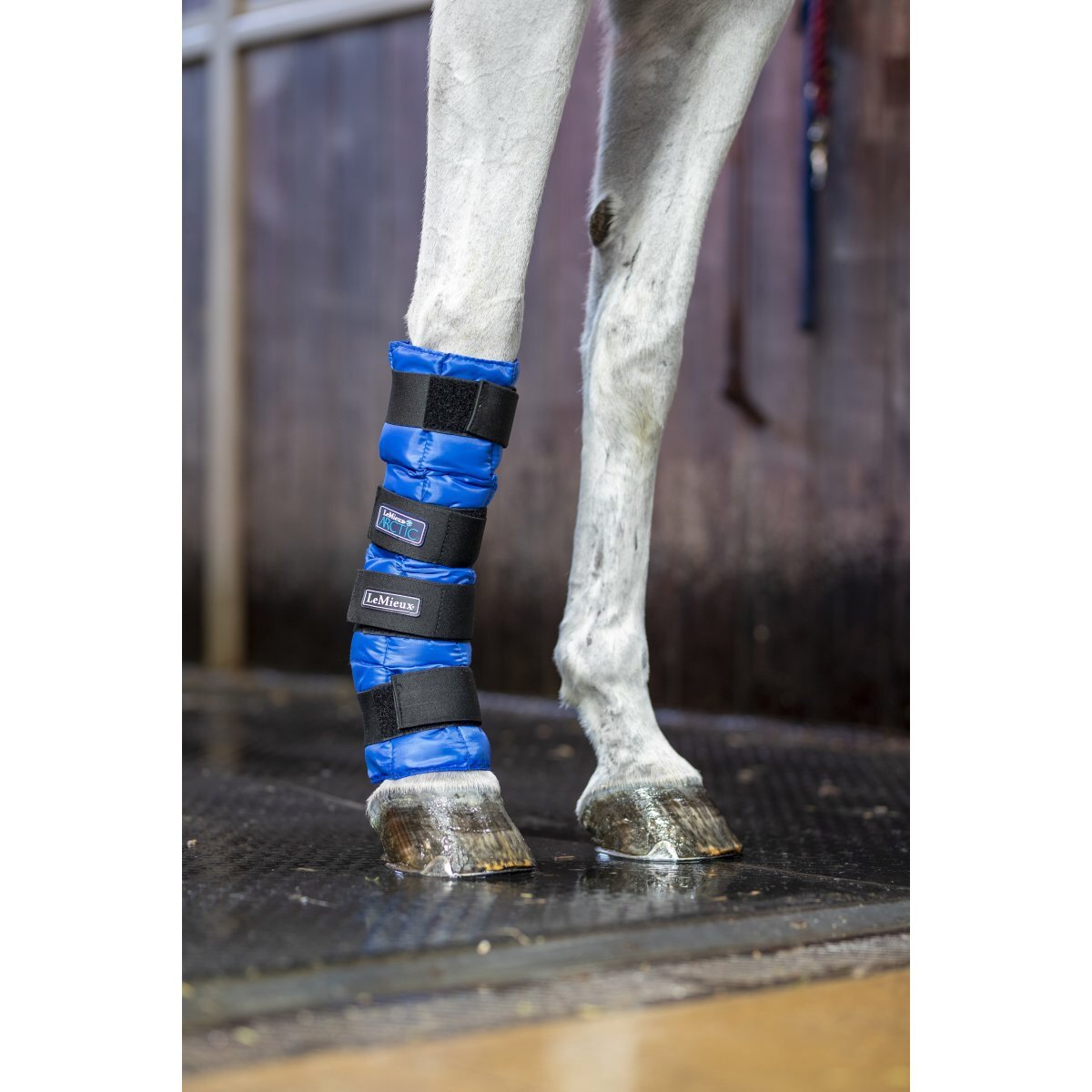LeMieux Arctic Ice Boots (Now Sold in Pairs)-Southern Sport Horses-The Equestrian