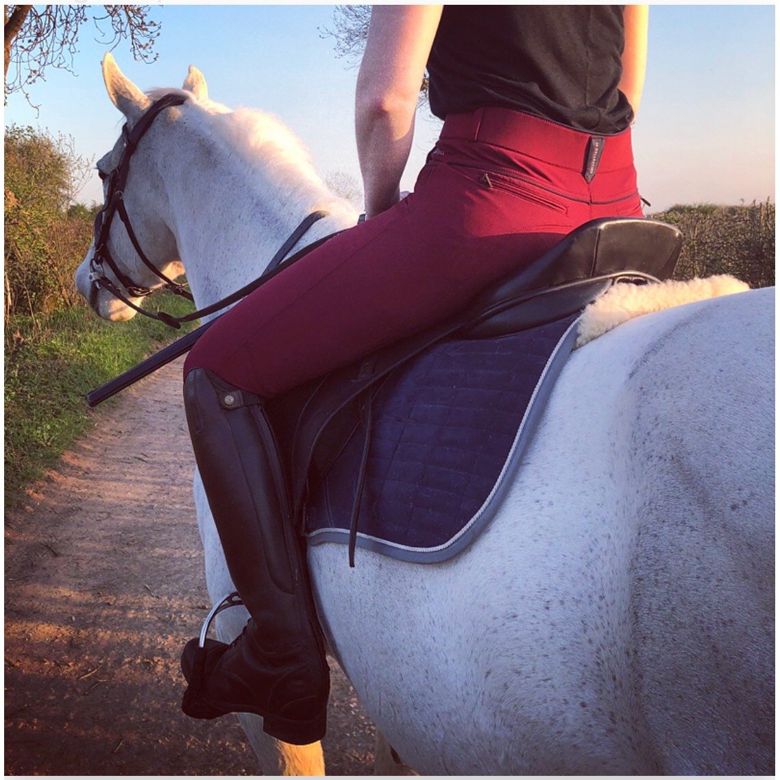 LeMieux Pace Breeches in [Colour/Size]-Southern Sport Horses-The Equestrian