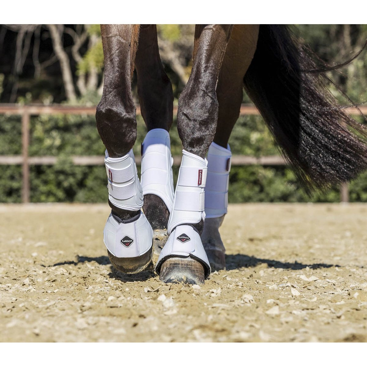 LeMieux Proshell Brushing Boots-Southern Sport Horses-The Equestrian