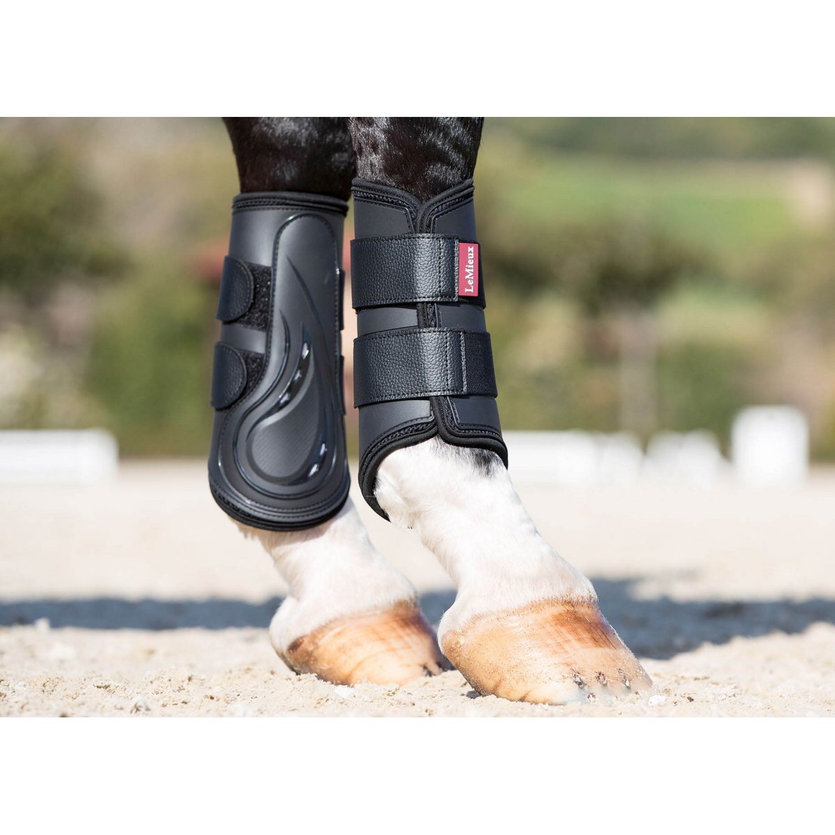 LeMieux Proshell Brushing Boots-Southern Sport Horses-The Equestrian