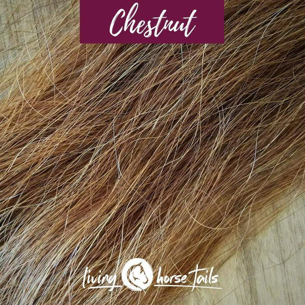 DIY Kit Extras - Horsehair Bracelet Chestnut DIY-HH-CHES Living Horse Tails Handmade Jewellery Custom Horse Hair Keepsakes Australia